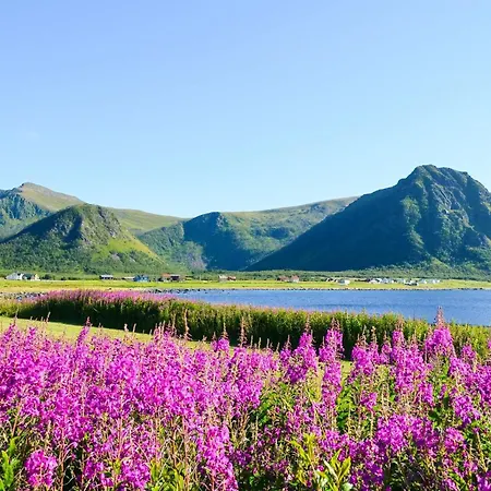 4 Person In Alsvag, Cleaning Included Alsvåg